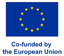 Co-funded by European Union